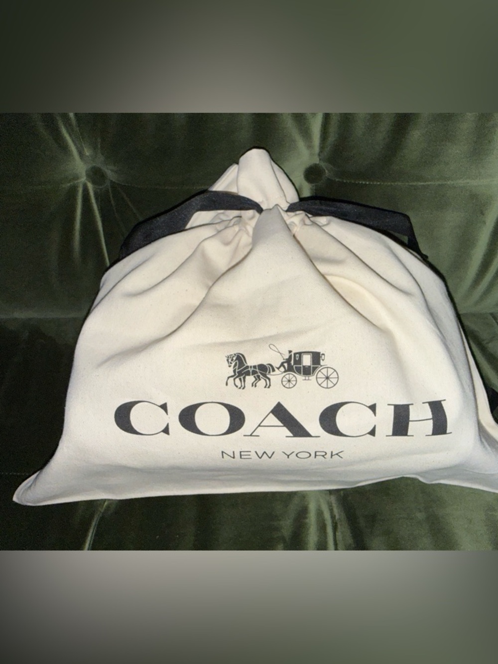 Coach Canvas Dust Bag - Large